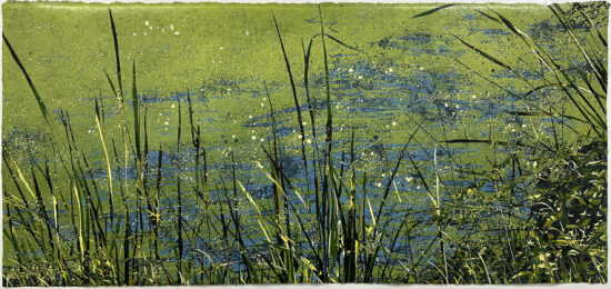 Bloom by Jean Gumpper at ebo Gallery