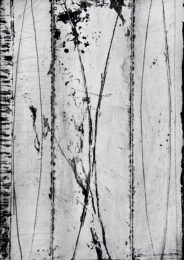 Distillations by Arden Scott at VanDeb Editions