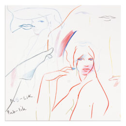 In Pub-lik by France-Lise McGurn at MLTPL