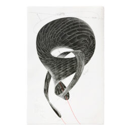 Inherited Desire by Jorinde Voigt at MLTPL