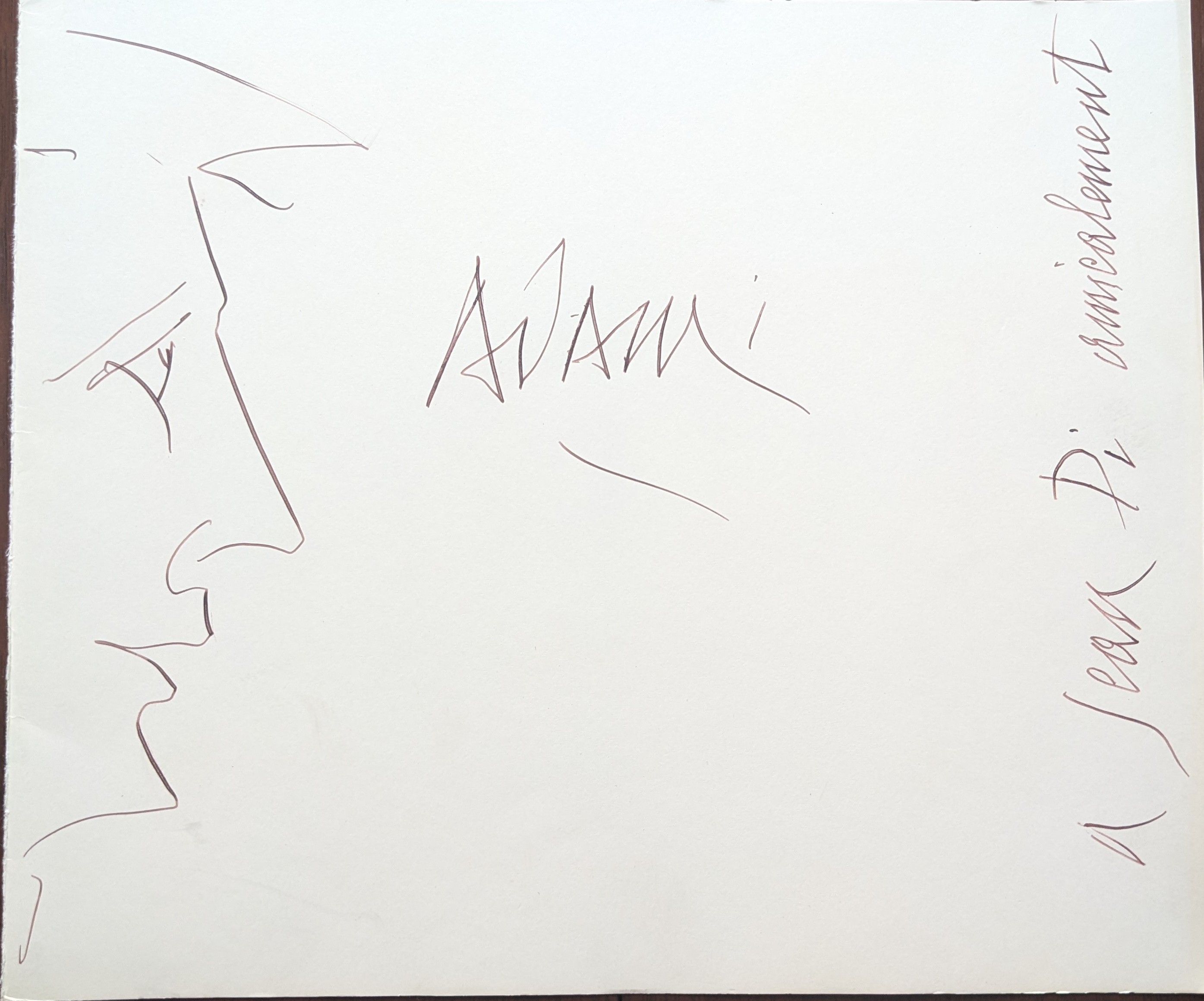 Profile by Valerio Adami