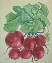 Radishes by Don Nice at Robert Fontaine Gallery