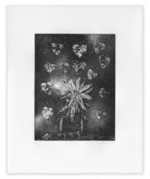 Shade of Love by Kiki Smith at LeRoy Neiman Center for Print Studies