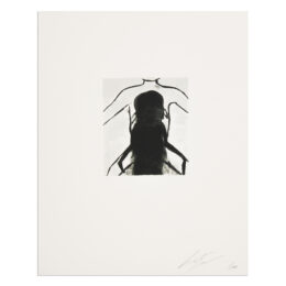 Superstition by Luc Tuymans at MLTPL