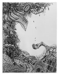 The Dregs by Nicola Lopez at LeRoy Neiman Center for Print Studies