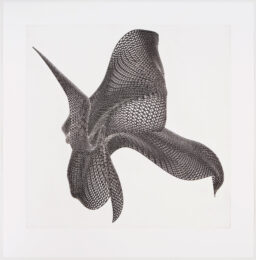 Three Views Of An Object #1 by Alyson Shotz at Graphicstudio