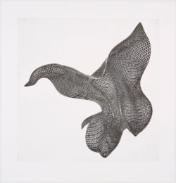Three Views Of An Object #3 by Alyson Shotz at Graphicstudio