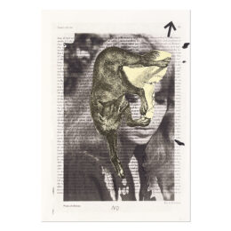 Untitled (Fuchs) by Daniel Richter at MLTPL