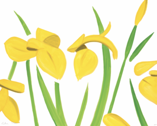 Yellow Flags on White by Alex Katz at Jim Kempner Fine Art