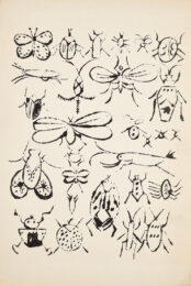 Andy Warhol Happy Bug Day by Andy Warhol at Clifton Gallery