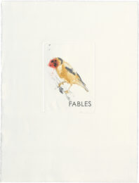 Fables by Adam Bridgland at peacock: a workshop for art