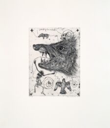 Looking for Water from Skull Project by Brad Kahlhamer at LeRoy Neiman Center for Print Studies