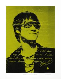 My Definite Chief Aim (Yellow) by Russell Marshall at Addicted Art Gallery