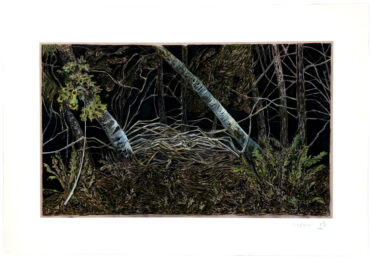 Night Forest by Billy Childish at Dellasposa