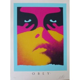 Obey Shadowplay (Paris Colourway) by Shepard Fairey at Dovehouse Contemporary