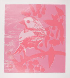 Silhouette Bird (Pink) by Ann Craven at LeRoy Neiman Center for Print Studies