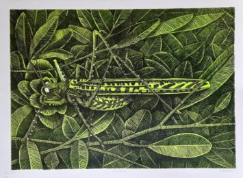 Bush Cricket by Walter Oltmann at Atelier le Grand Village