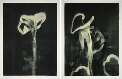 Calla 1 + 2 by Michael Mazur at Center Street Studio