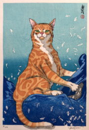Cat Feathers: Blue by Paul Binnie at ebo Gallery