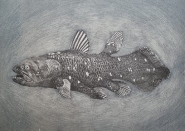 Coelacanthe by Walter Oltmann at Atelier le Grand Village