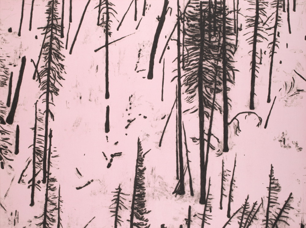 Heading South on 191 (Pink Glow) by Maggie Fleming