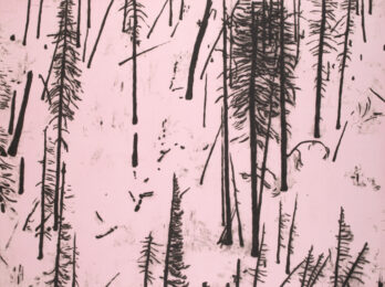 Heading South on 191 (Pink Glow) by Maggie Fleming at Oehme Graphics
