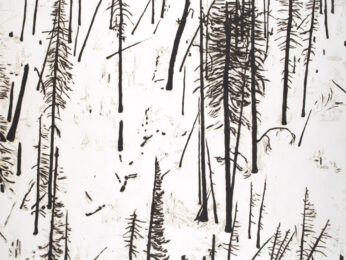 Heading South on 191 (b/w) by Maggie Fleming at Oehme Graphics