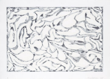 Paradiso 3 by Claire Lieberman at Oehme Graphics