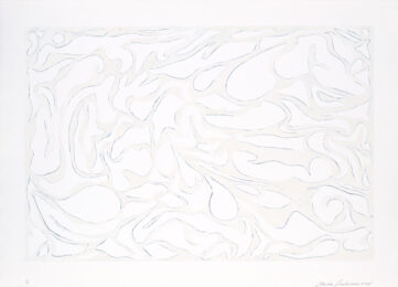 Paradiso Bianco 4 by Claire Lieberman at Oehme Graphics