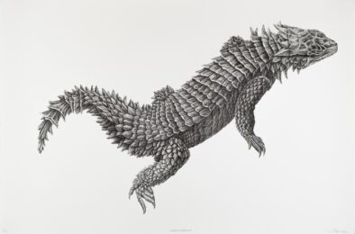 Smaug Giganteus by Walter Oltmann at Atelier le Grand Village