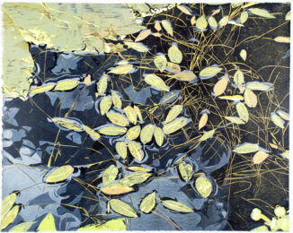 Surface Tension by Jean Gumpper at ebo Gallery