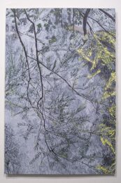 Thunder Spring by Jean Gumpper at ebo Gallery