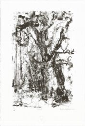 Treed by Pauline Gutter at Atelier le Grand Village