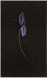 Vertical Migration by SUPERFLEX at Graphicstudio