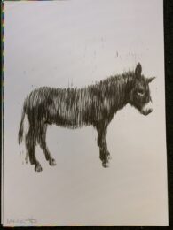 Charming Baker Donkey Signed edition for charity by Charming Baker at Brandler Galleries
