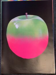 David Speed “the Big Apple” NY  Rare Limited Signed Edition for charity by David Speed at Brandler Galleries