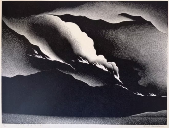 Death of a Forest by Paul Landacre at Catherine Burns Fine Art