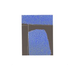Forcefield from Significant Other by Arlene Shechet at LeRoy Neiman Center for Print Studies