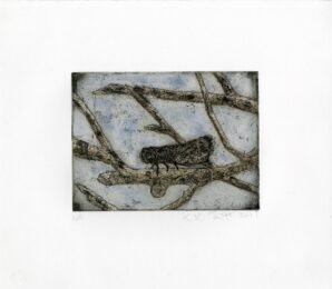 Goat Moth C by Kiki Smith at LeRoy Neiman Center for Print Studies