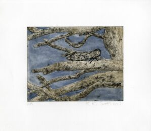 Goat Moth E by Kiki Smith at LeRoy Neiman Center for Print Studies