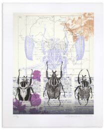 Goliath by Craig Zammiello at LeRoy Neiman Center for Print Studies