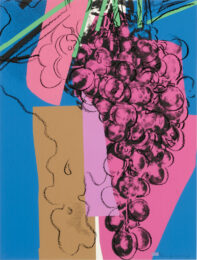 Grapes 192 by Andy Warhol at Revolver Gallery