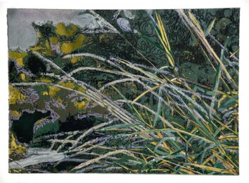 Grass by Jean Gumpper at ebo Gallery