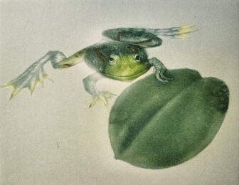 Nenuphar by Mikio Watanabe at ebo Gallery