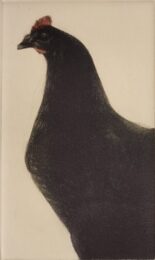 Poule i by Mikio Watanabe at ebo Gallery