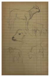 Study of Sheep by Adolphe Valette at Dovehouse Contemporary