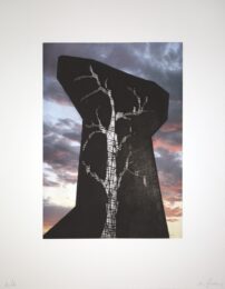 Sunsets and Blue Skies: Hollow Monument by Nicola Lopez at LeRoy Neiman Center for Print Studies
