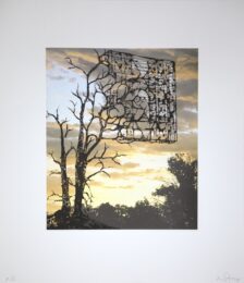Sunsets and Blue Skies: Shards by Nicola Lopez at LeRoy Neiman Center for Print Studies