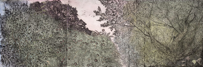 Treetops (Monoprint) by Nancy Friese at Oehme Graphics