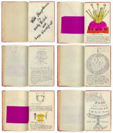 Wild Raspberries FS IV.126-143 (Andy Warhol Art Authentication Board Stamped), 1959 by Andy Warhol at GallArt.com